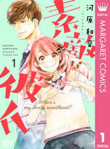 【素敵な彼氏】全巻無料で漫画を読めるか調査！14巻まで安全に一気読み