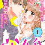 【ウソ婚 分冊版】全巻無料で漫画を読む方法!最新刊まで安全に一気読み