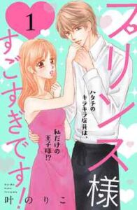 【プリンス様すごすぎです！分冊版】全巻無料で漫画を読む方法！最新刊まで安全に一気読み