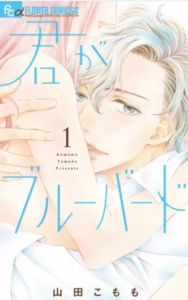 【君がブルーバード】全巻無料で漫画を読む方法！1巻の最後のページまで安全に