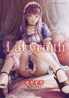 【Labyrinth】全巻無料で漫画を読む方法！最新刊まで安全に一気読み