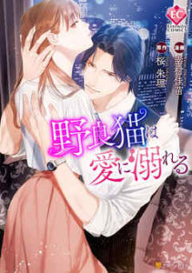 【野良猫は愛に溺れる】全巻無料で読む方法！1巻の最後まで安全に