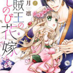 【盗賊王のおしのび花嫁】全巻無料で漫画を読む方法!最新刊まで安全に一気読み