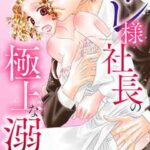 【オレ様社長の極上な溺愛】全巻無料で漫画を読む方法!最新刊まで安全に一気読み