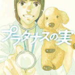 【プラタナスの実】全巻無料で漫画を読む方法!最新刊まで安全に一気読み